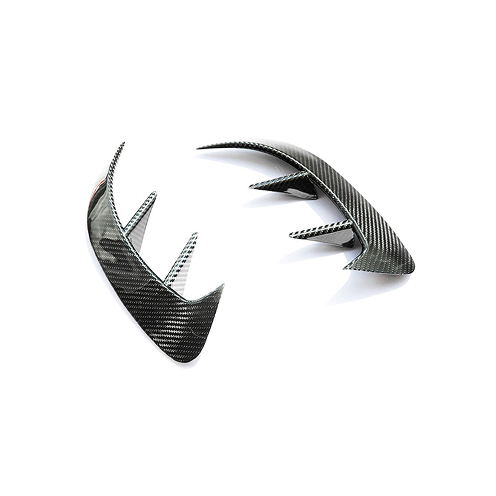 Mercedes-Benz A-Class W177 Dry Carbon Fiber Rear Fender Trim