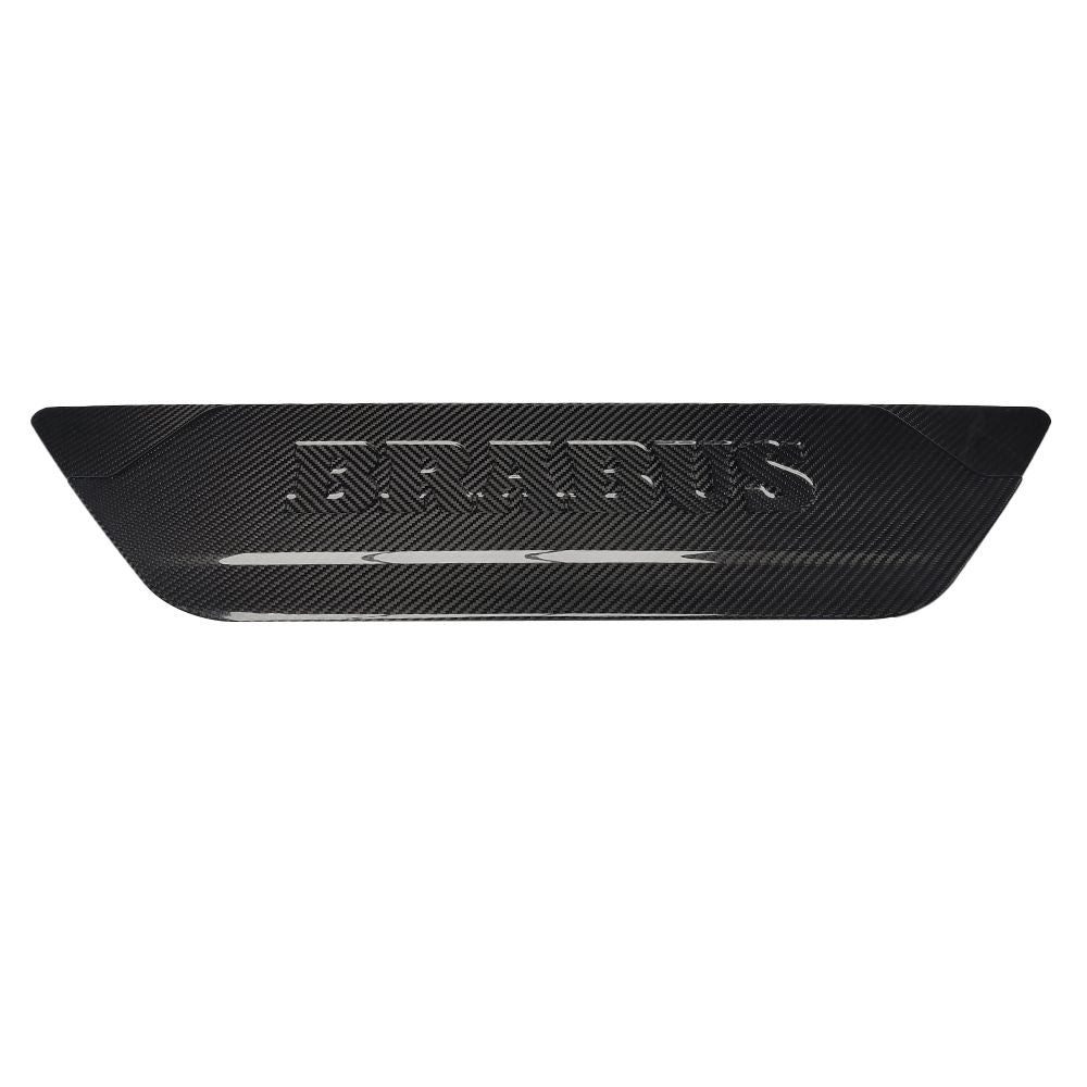 Mercedes-Benz G-Class W463 Dry carbon fiber Rear Cover