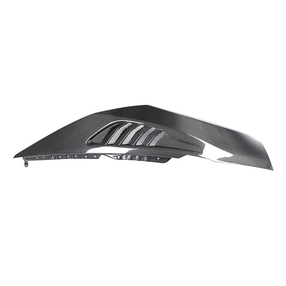 Lamborghini Huracán EVO Dry carbon fiber Fender